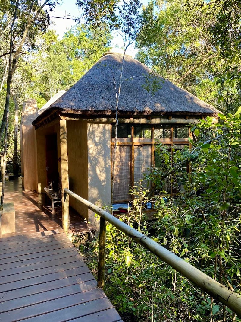 Trogon House and Forest Spa Garden Route photo