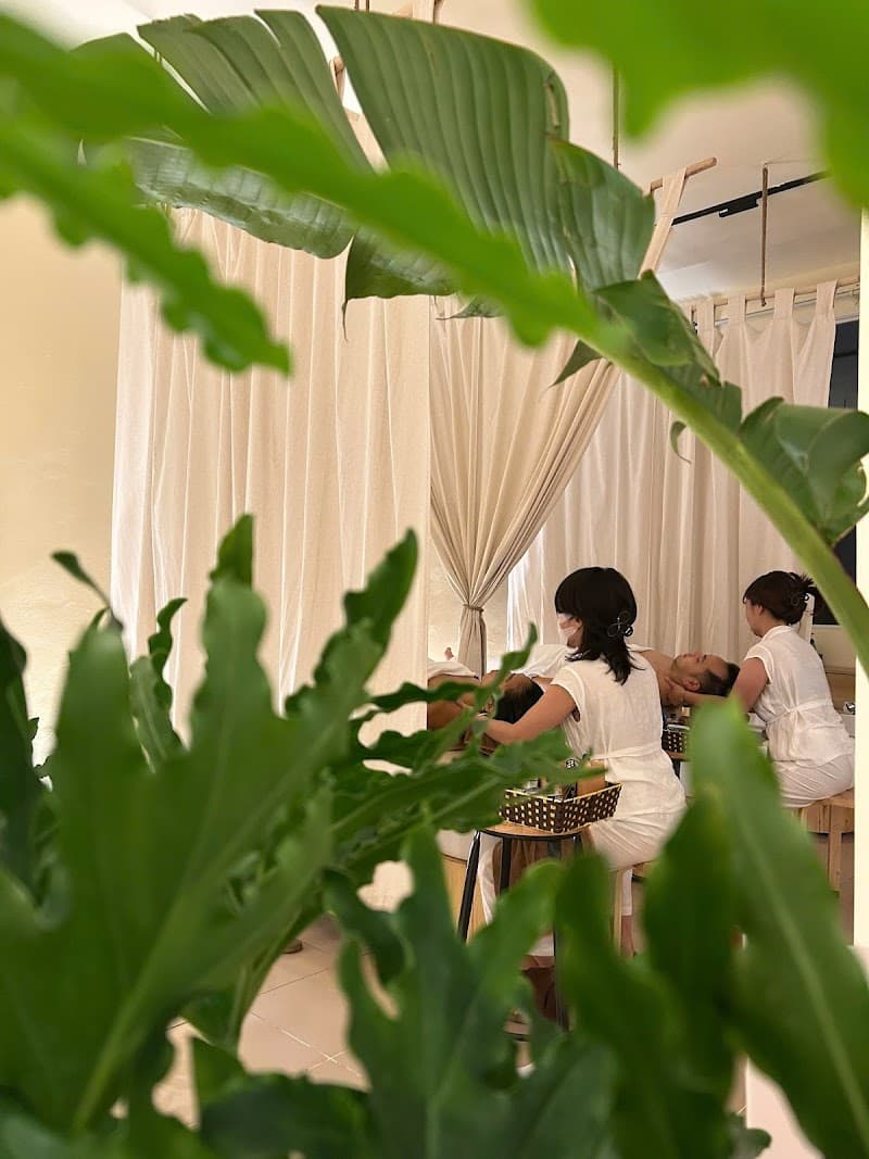 Tropi Q - Herbal Head Spa & Wellness Quận Hoàn Kiếm photo