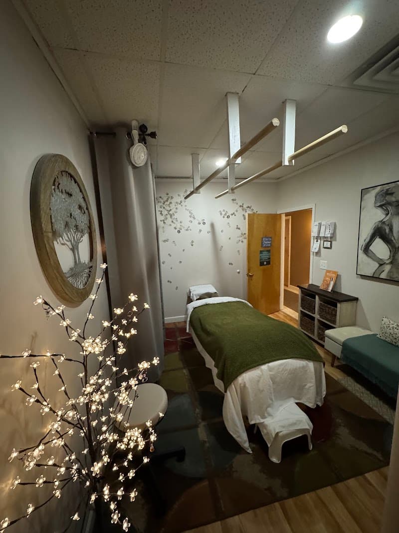 TruEssence Esthetics and Massage, LLC Omaha photo