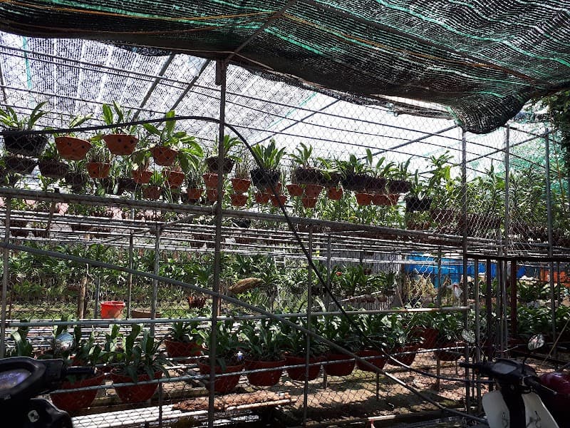 Trung Tâm Giống Cây Trồng Học Viện Nông Nghiệp Quận Hoàng Mai photo