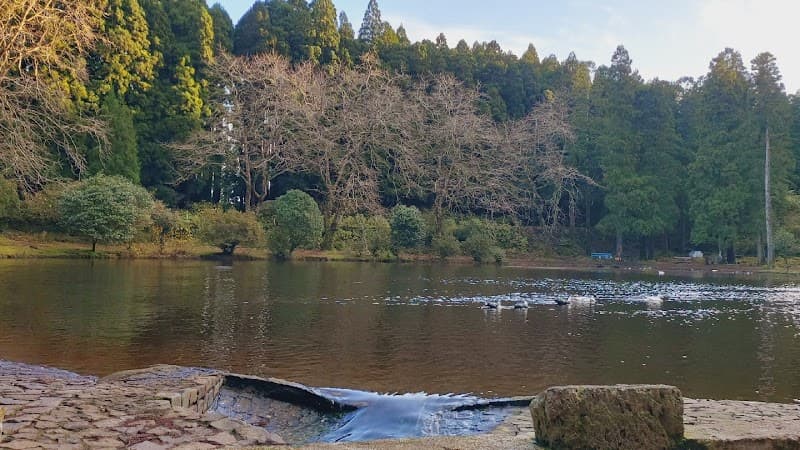 TRY Azores Angra do Heroismo photo