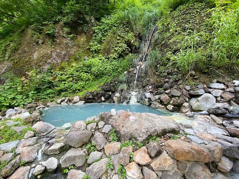 Tsubame Onsen Kawara no Yu Myoko City photo