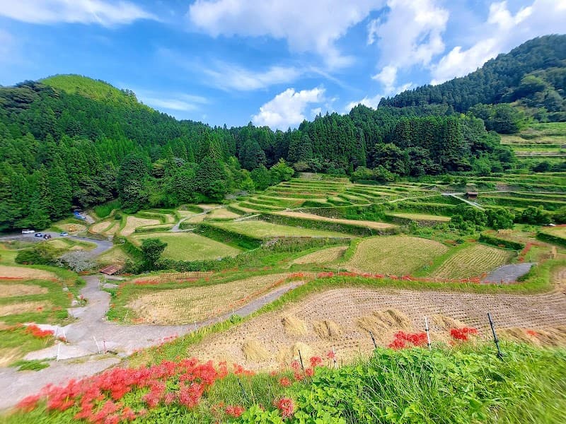 Tsuru wa Sennen Ukiha City photo