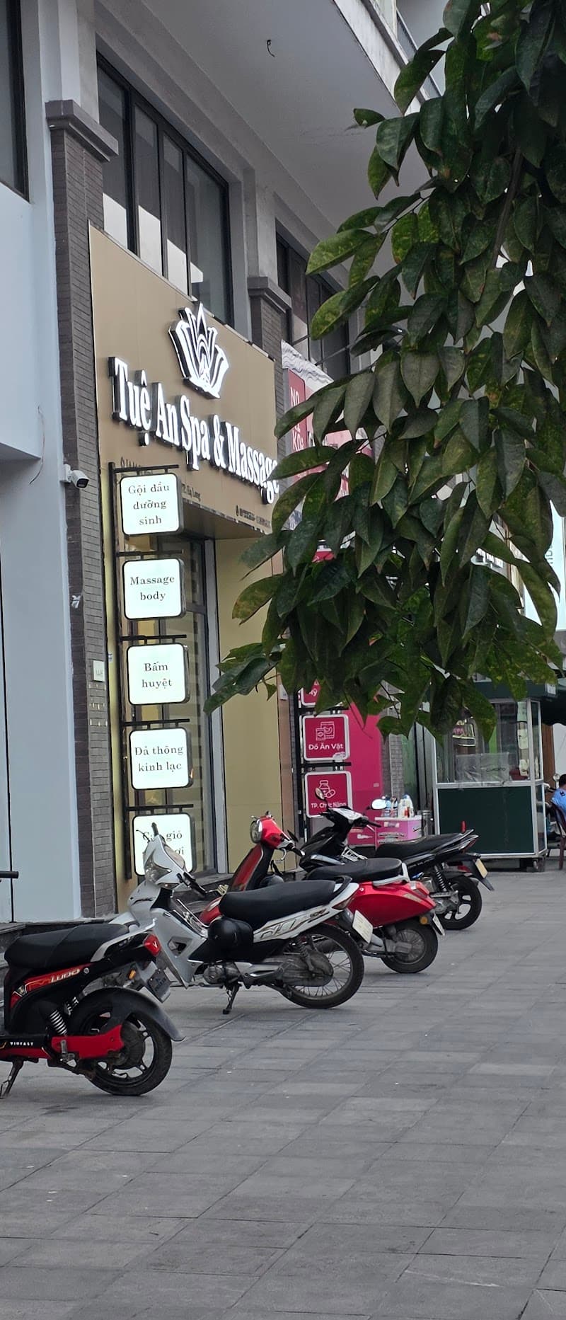 Tuệ An Spa Hạ Long photo