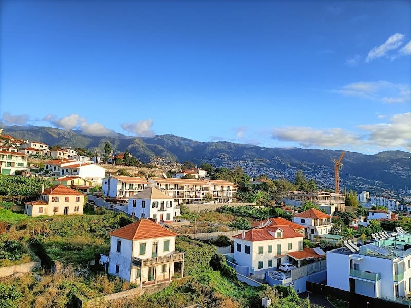 TUI BLUE Madeira Gardens photo