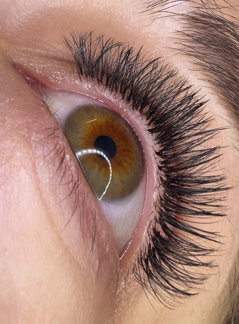 Twisted Lash Ocala photo