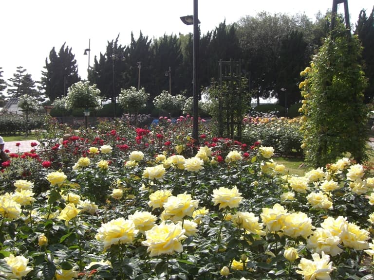 U-Bath Sakai Hamadera Sakai City Nishi Ward photo