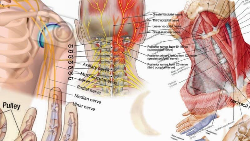 Urutan Tradisional Penang Batu Maung photo
