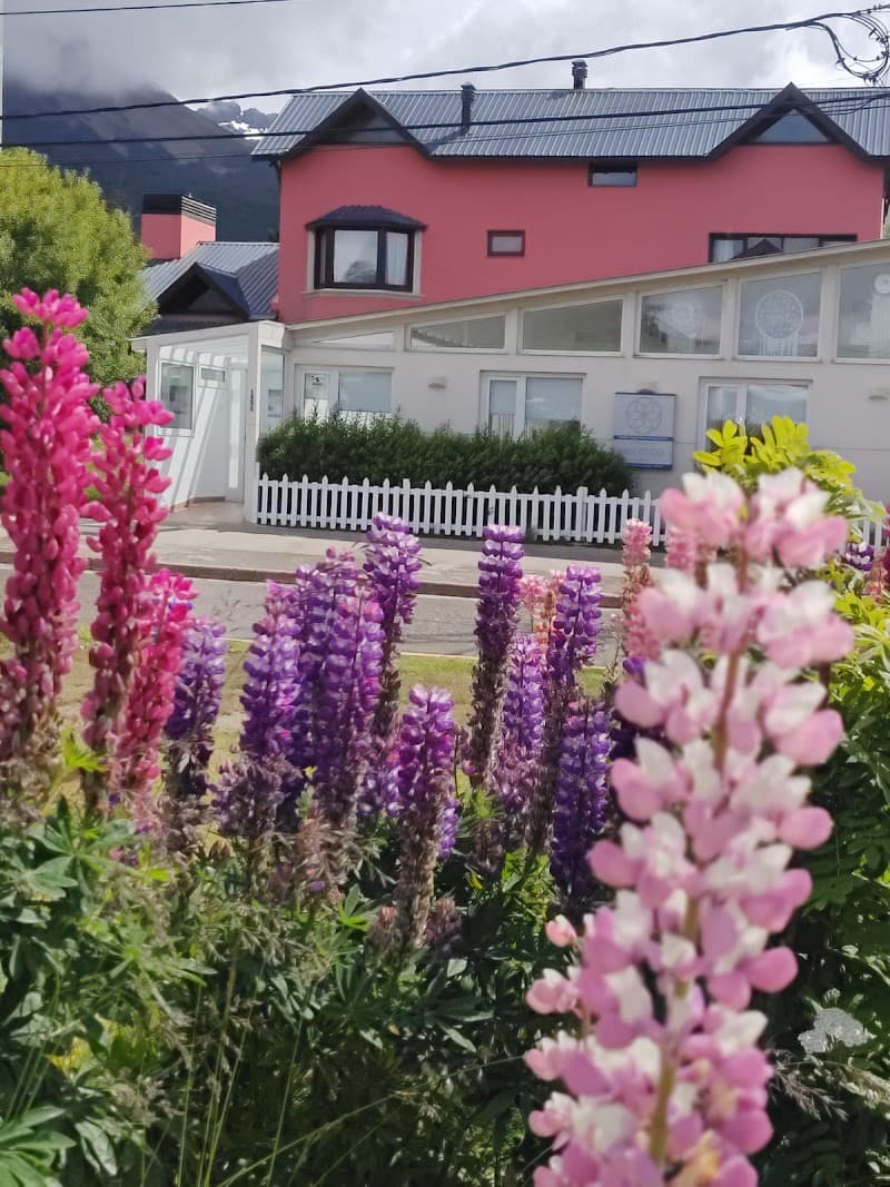 Usha.Masajes Ushuaia photo
