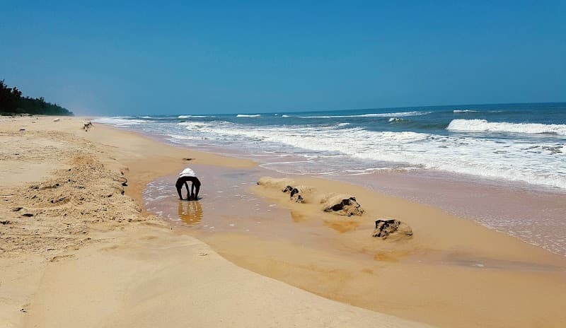 Van Phan Thuận An photo