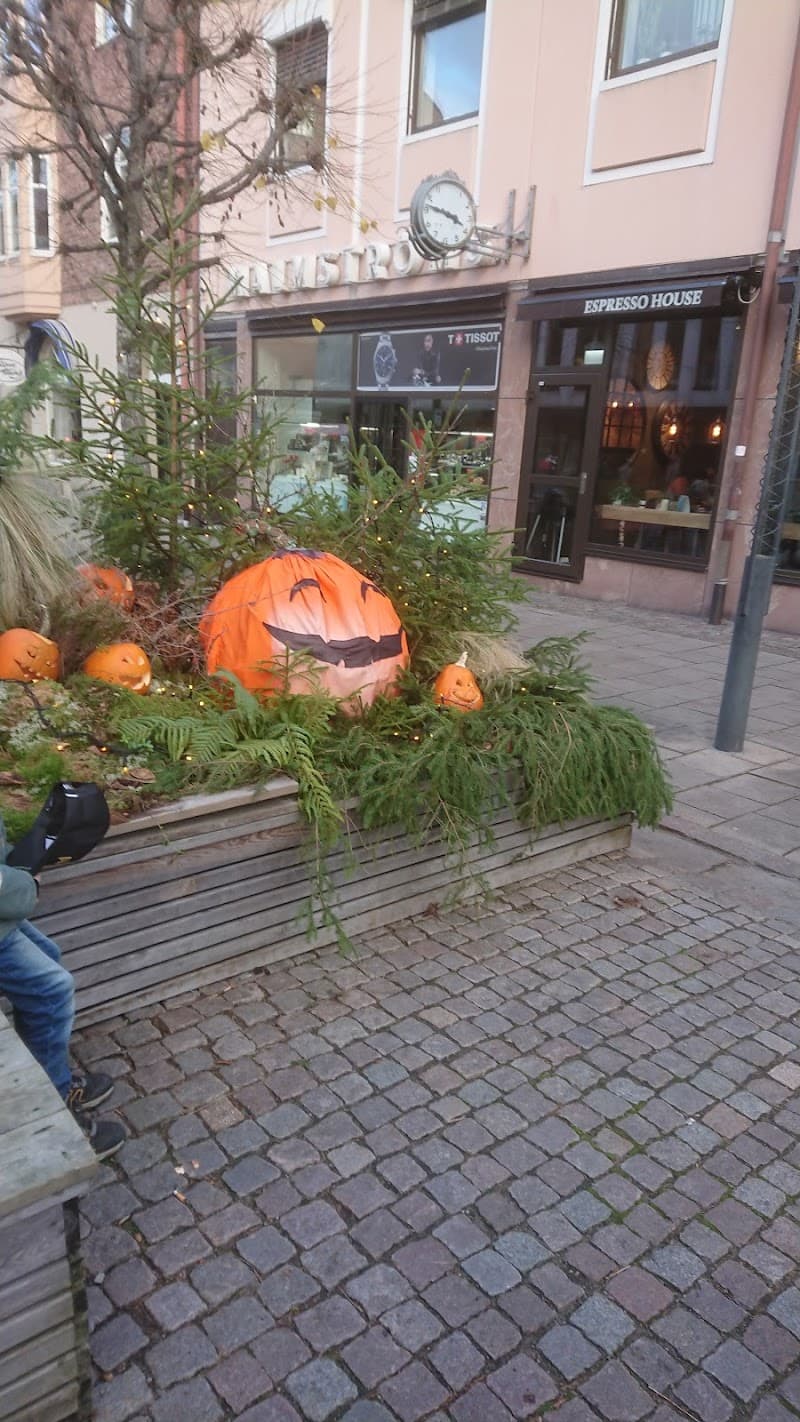 Vänersborg-centrum photo
