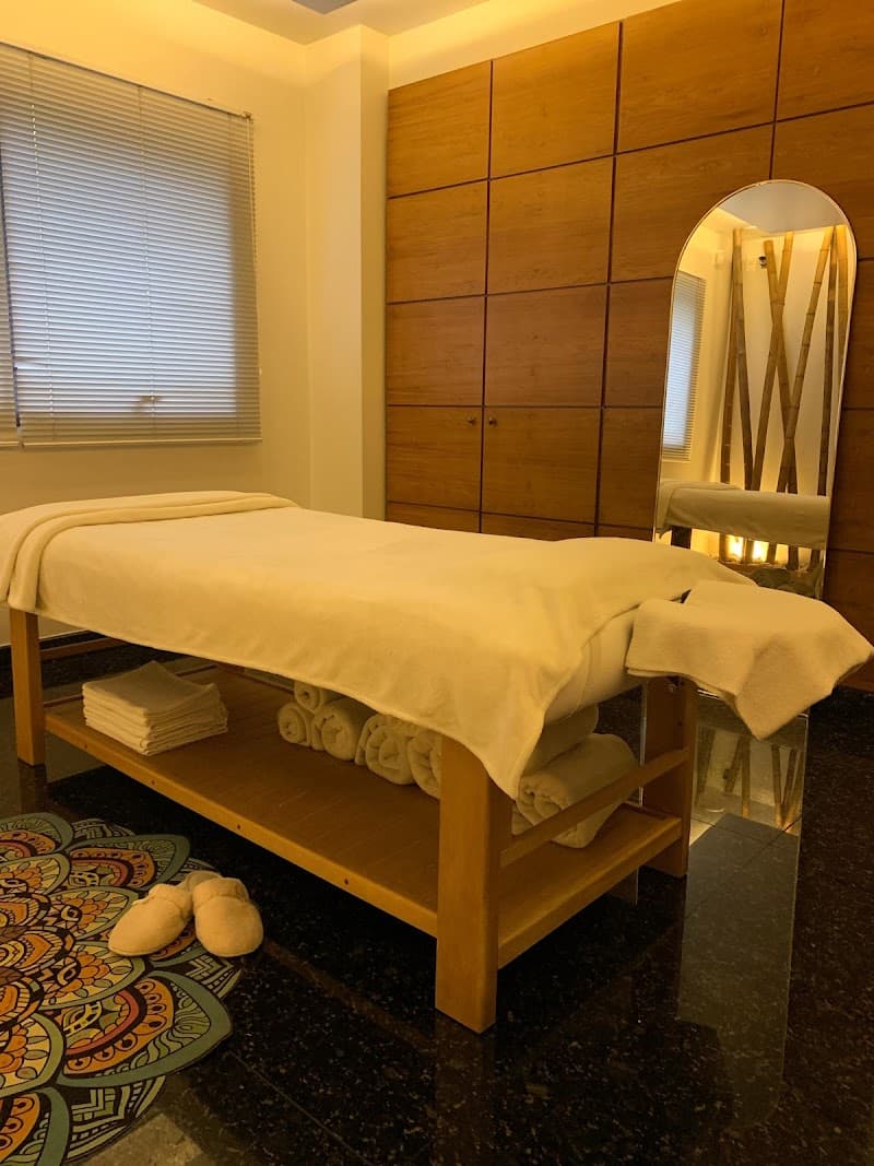 Vanesssa Lima Welter Massoterapeuta Santa Rosa photo