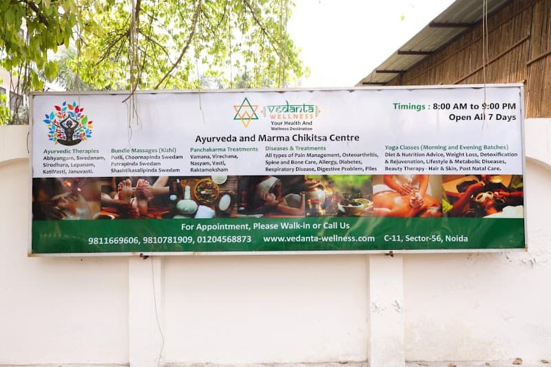 Vedanta Wellness Delhi photo