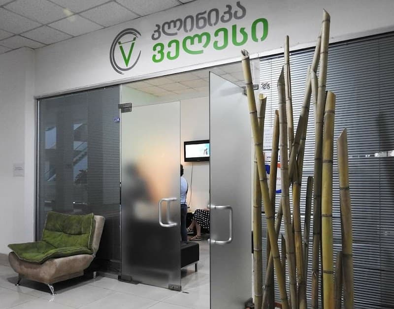 Velesi Clinic Tbilisi photo