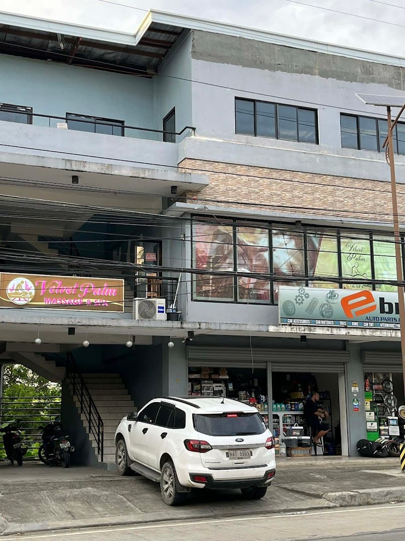 Velvet Palm Massage and Spa Compostela photo