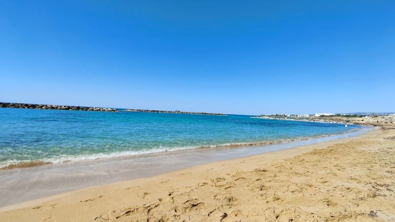 Venus fitness center Democracy Ave 25 photo