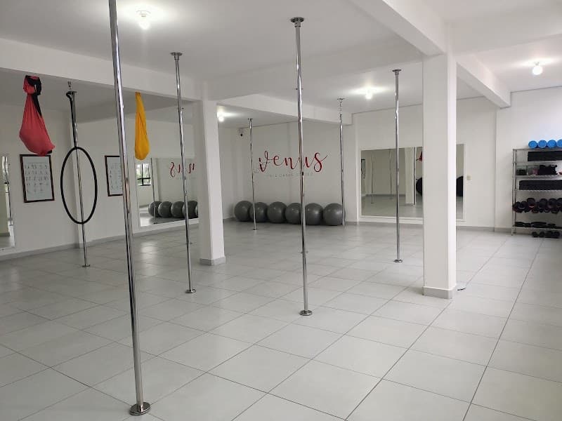 Venus Pole Dance Studio Cuautitlán Centro Estado de México photo