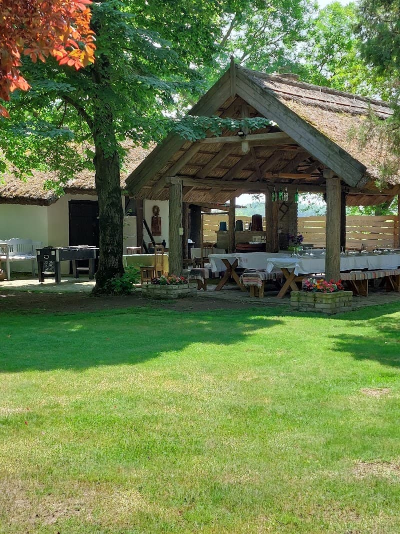 Venyige Tanya Orgovány photo