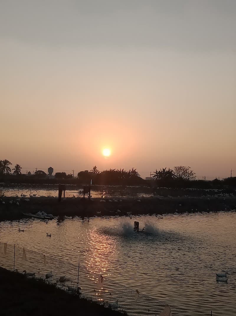 Vera Spa Chiayi City photo