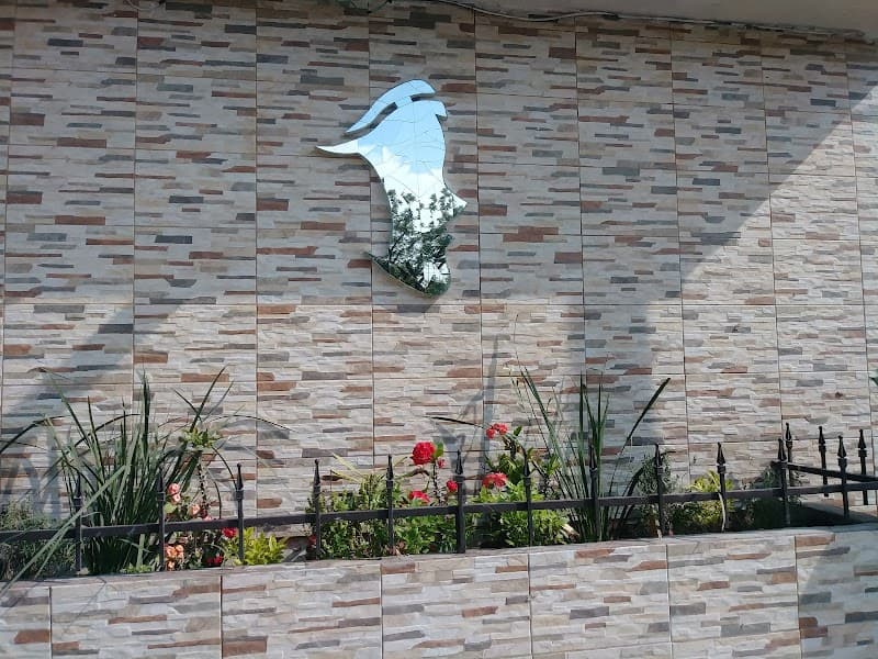 Veramy's Medical Spa Río Bravo photo