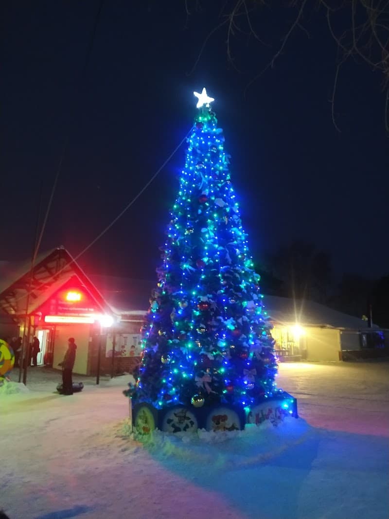 Verkhniy Bor Tyumen photo