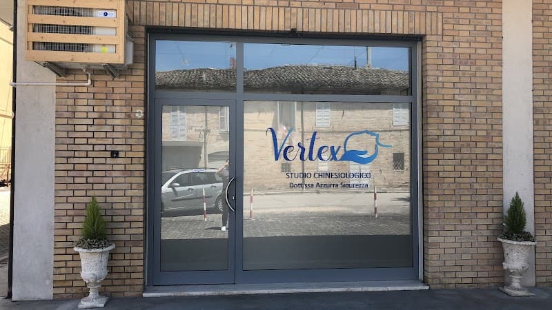 Vertex - Osteopatia e Chinesiologia Servigliano photo