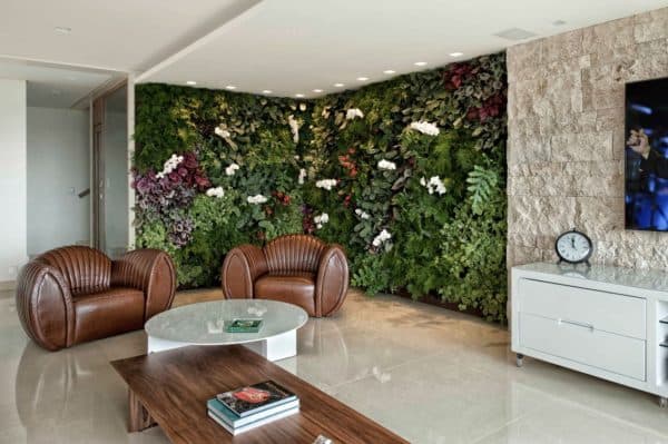 VertGreenMS Campo Grande photo