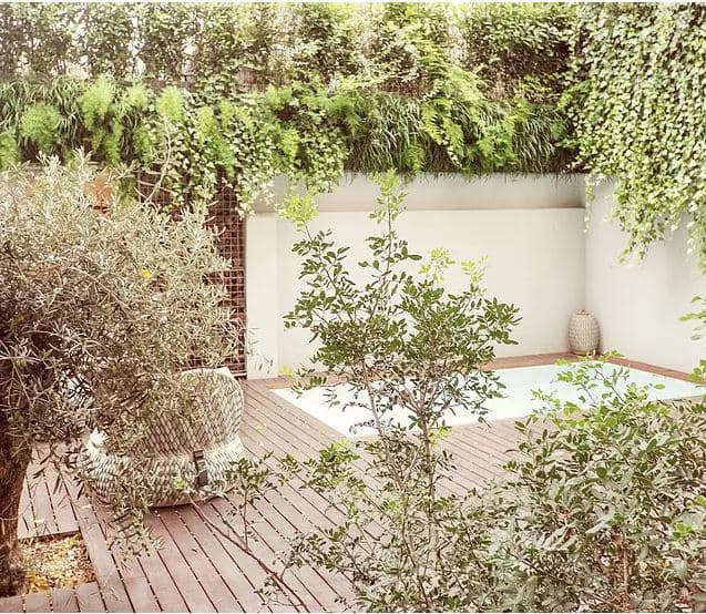 Verveine San Carlos de Bariloche photo