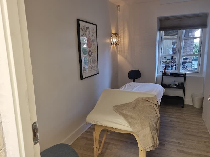 Vida Body Therapy København photo