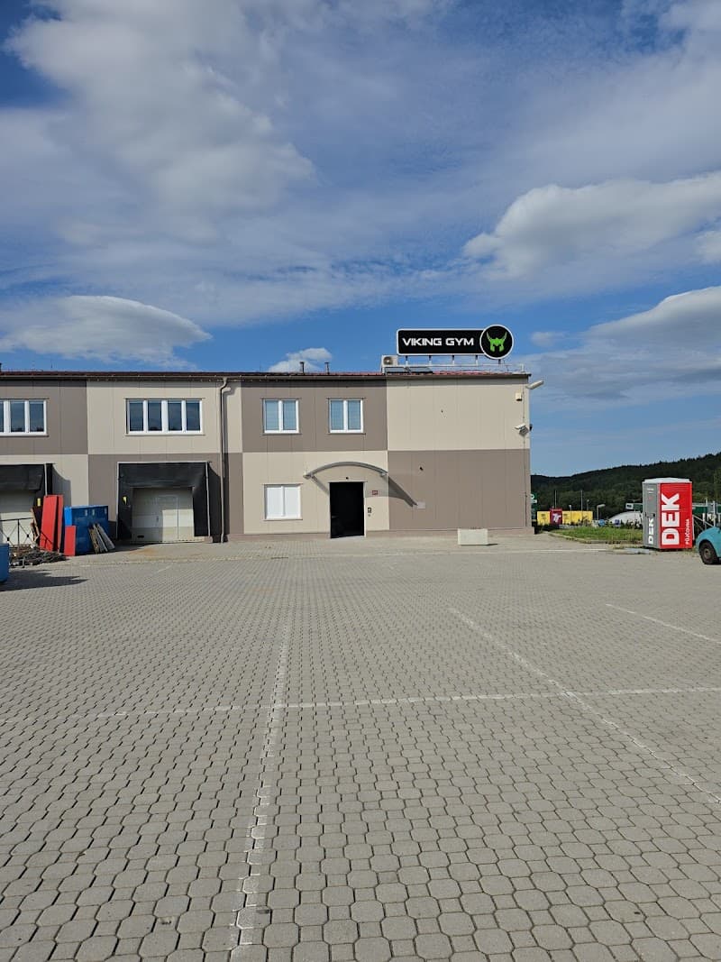 Viking gym Příbram photo