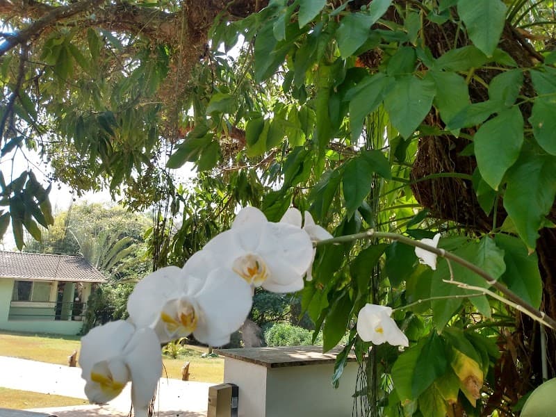 Vila Aconchego Cachoeiro de Itapemirim photo