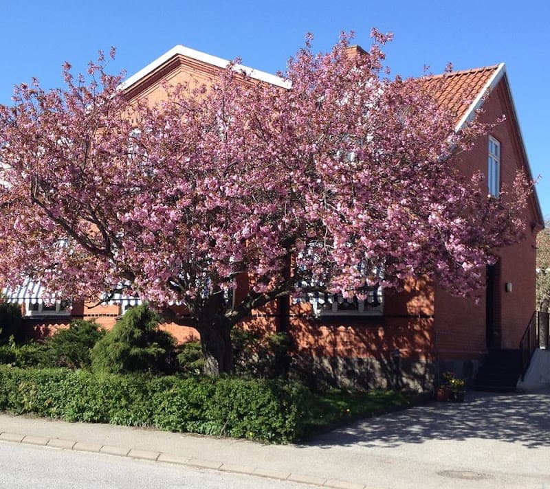 VillaVila Hörby photo