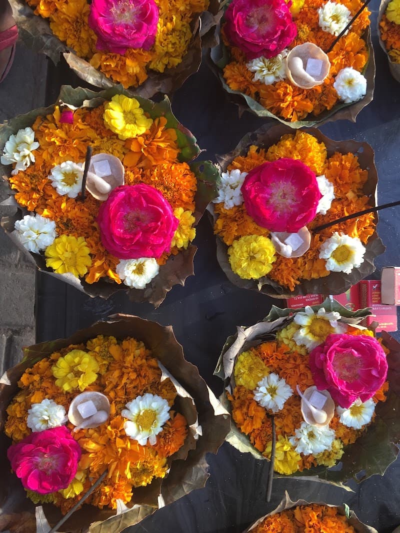 VIP Yoga & Ayurveda Toronto photo