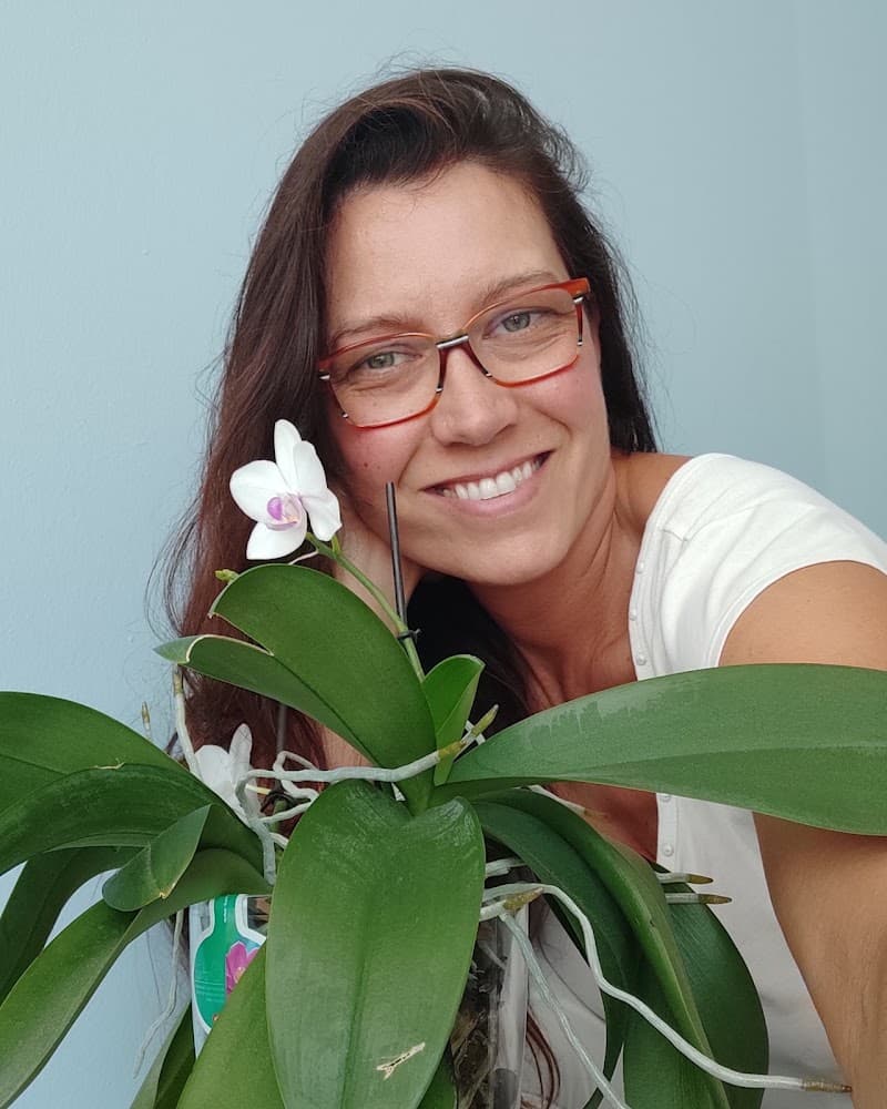 Vistara Studio Olistico Conegliano photo