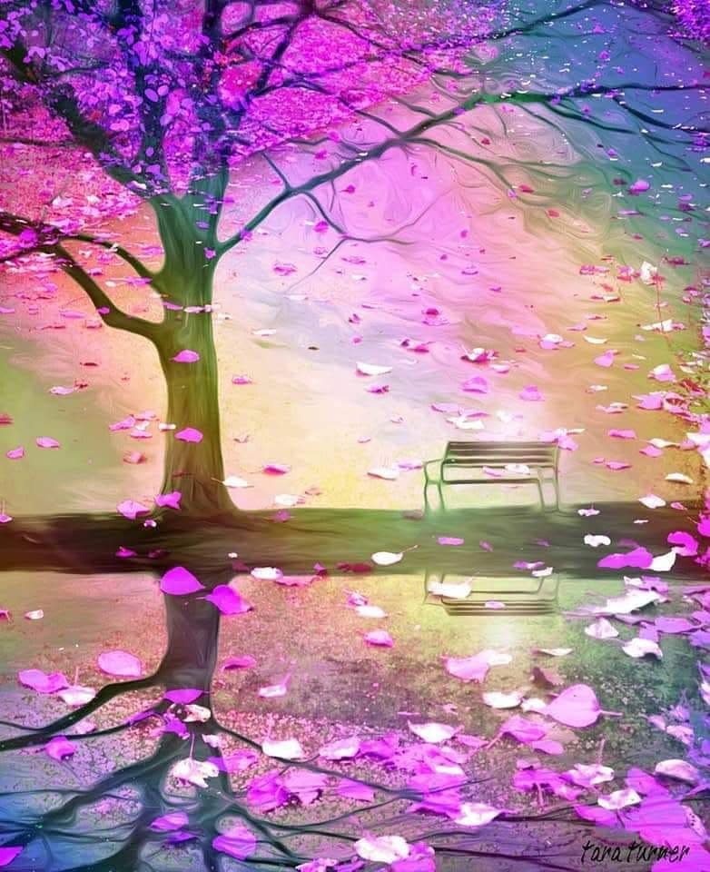 Vita Massage Eliane PENN Brest photo