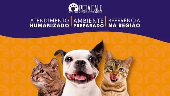 Vitale Clinia Volta Redonda photo