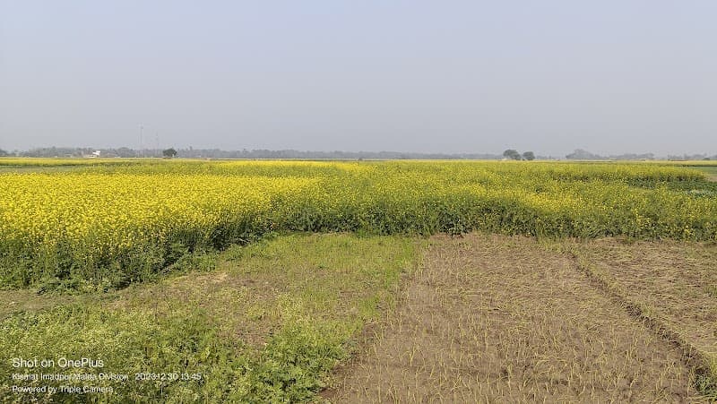 Vitality Beauty & Spa Thane (W) photo