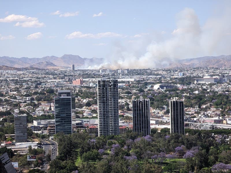 VITNAT Guadalajara photo