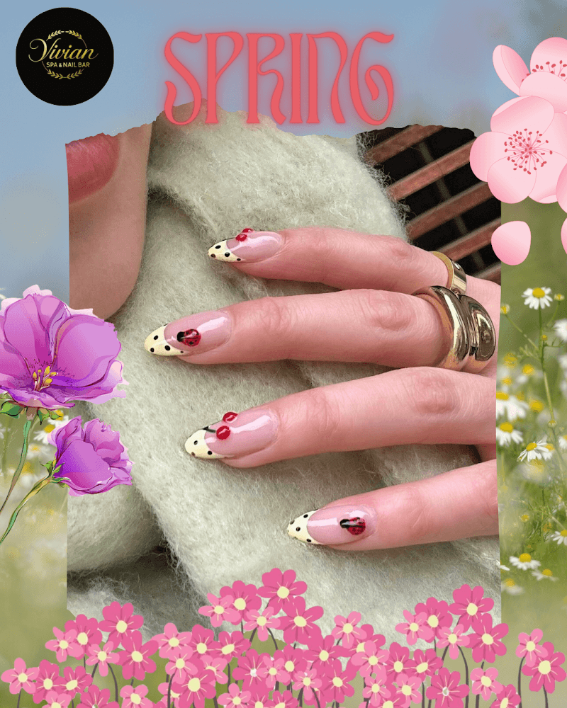 Vivian Spa & Nail Bar HARKER HEIGHTS photo