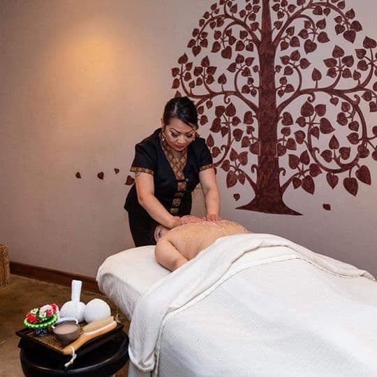 Viyada Thai Spa Boston photo