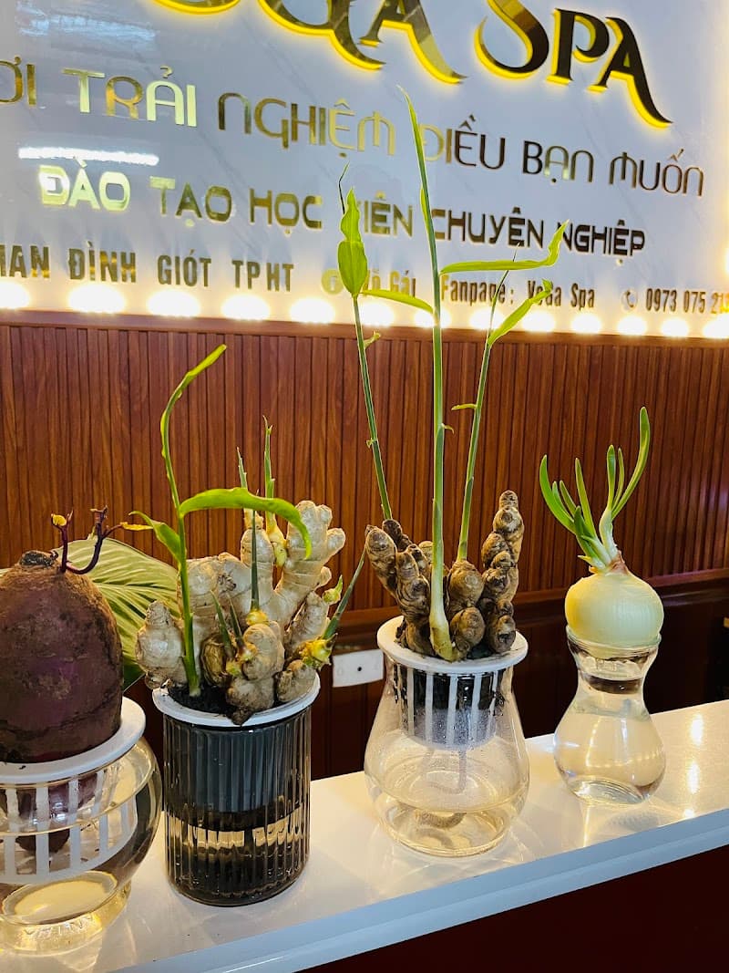 VoGa Spa Hà Tĩnh photo