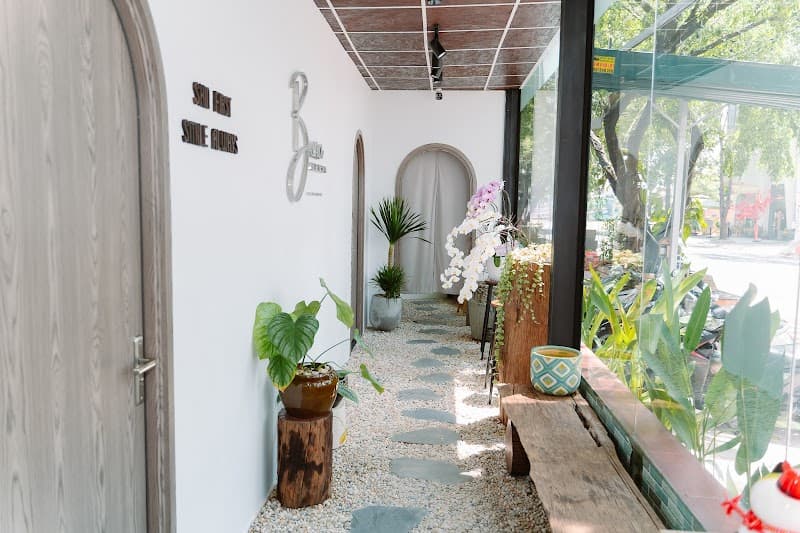 Vua Da LiỄU Dĩ An photo
