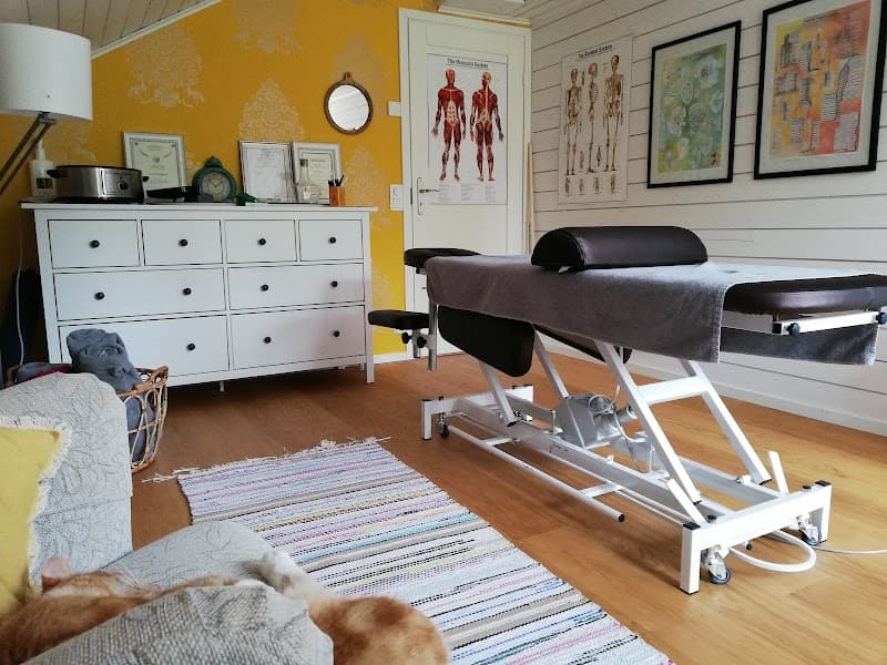 Vyöhyketerapeutti ja Koulutettu hieroja / Marja Toikkanen Jyväskylä photo