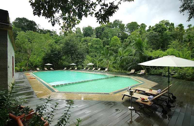 Vythiri Village Resort Fish Spa photo