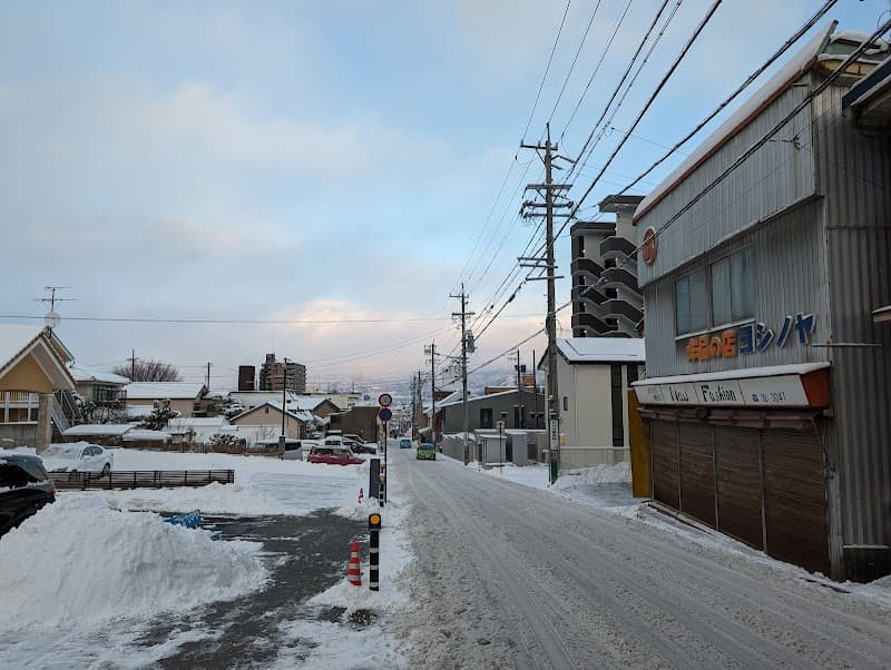 Wakaba Seitaiin Nagano photo