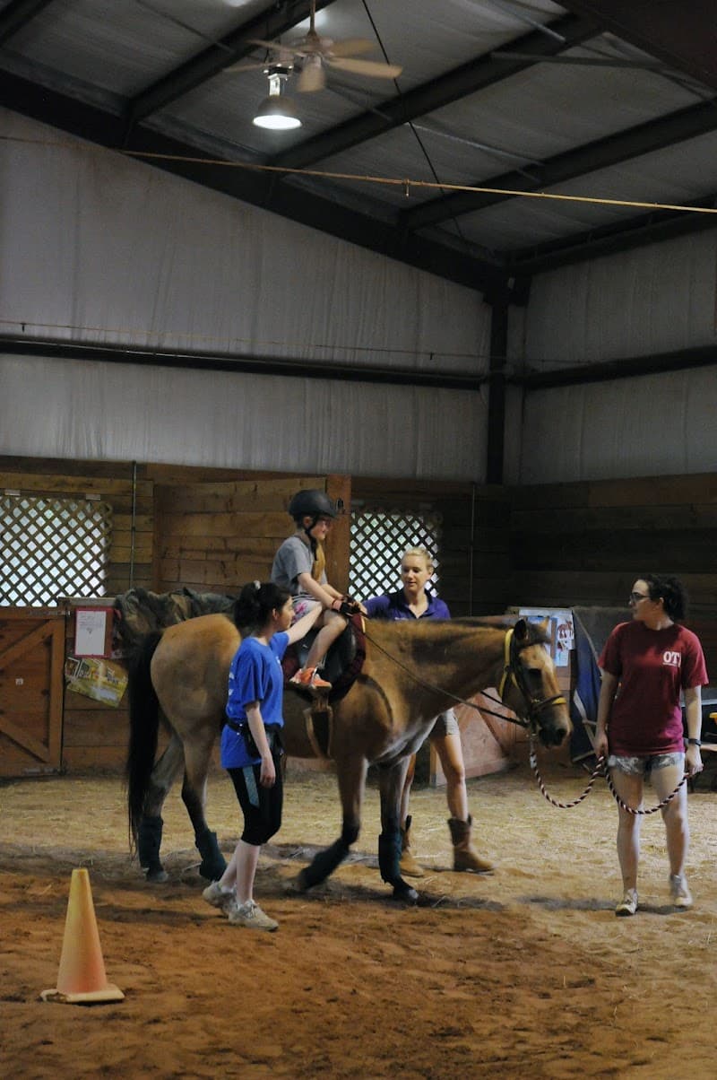 Walker Therapy Dahlonega photo