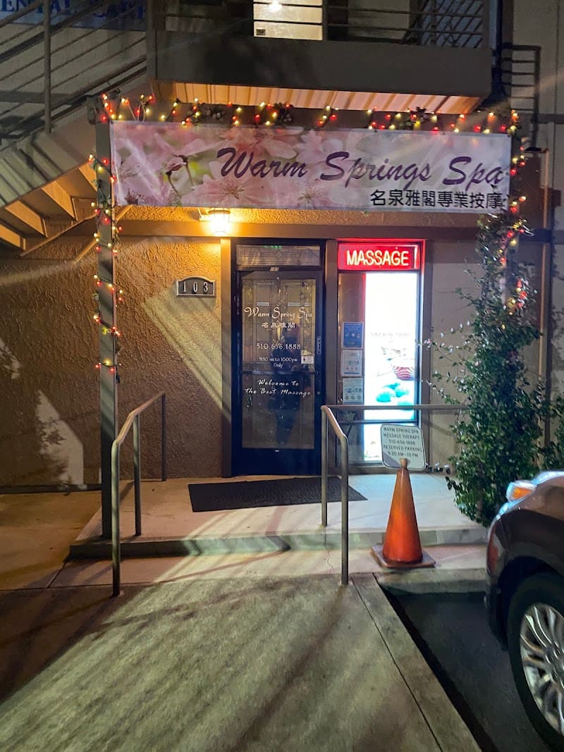 Warm Springs Spa Fremont photo