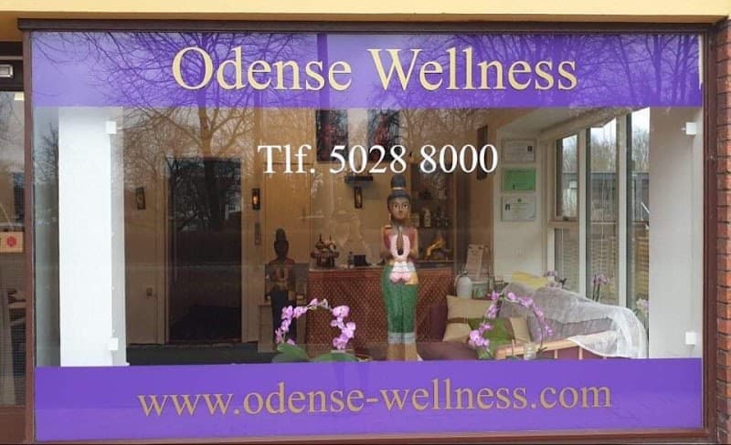 Wasana Wellness & Spa Svendborg photo