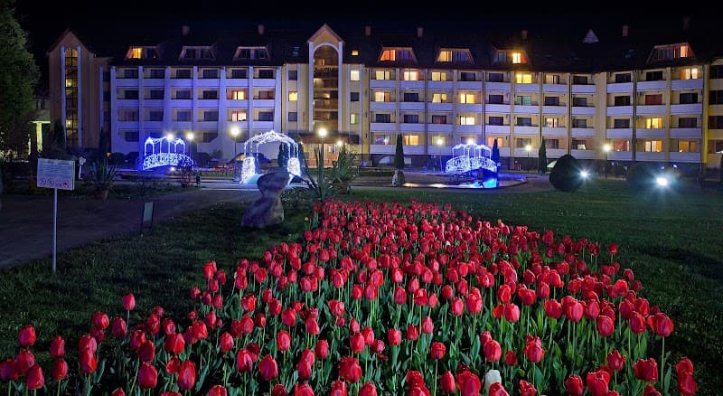 Water treatment facility of Sanatorium Sunny Zakarpattia Svaliava District photo