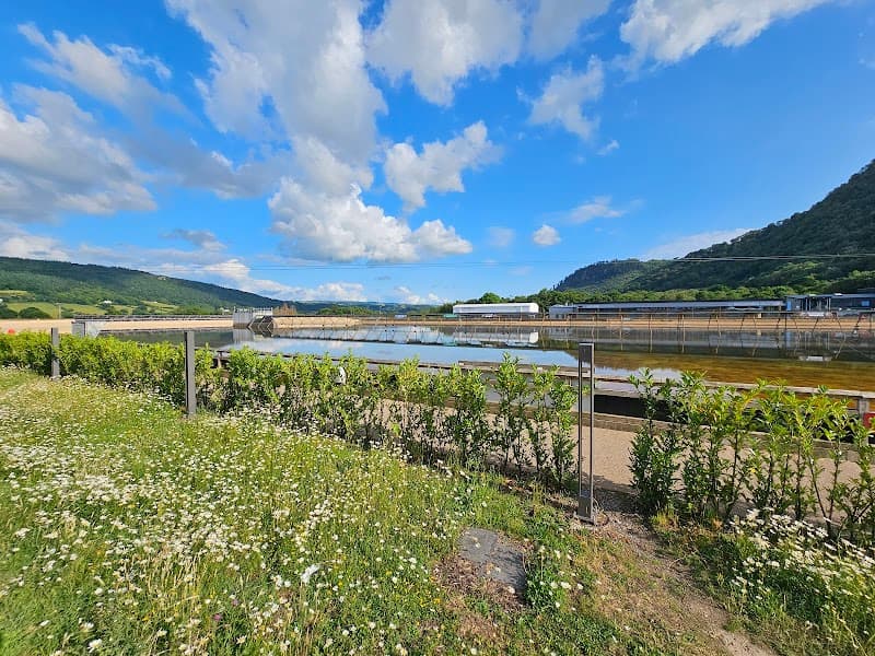 Wave Garden Spa Conwy photo